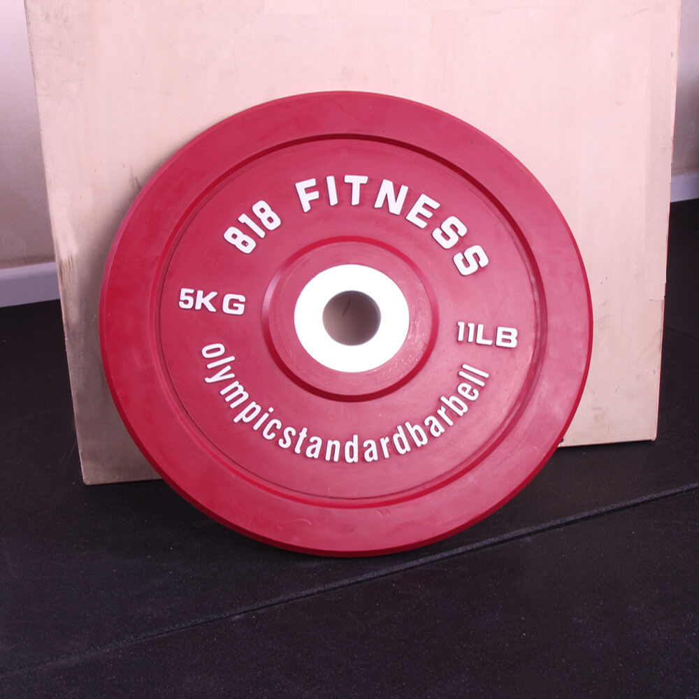 SOL FITENSS WEIGHT PLATE (7)