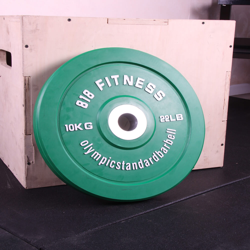 SOL FITENSS WEIGHT PLATE (4)