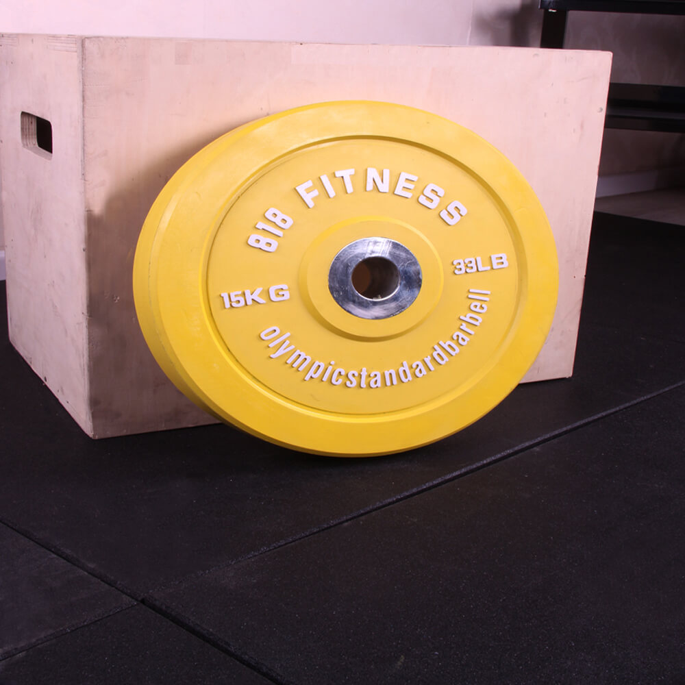 SOL FITENSS WEIGHT PLATE (9)