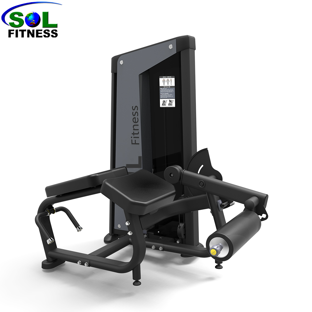 Fashionable Best Luxury Gym Equipment Life Fitness Equipment Gym Fitness
