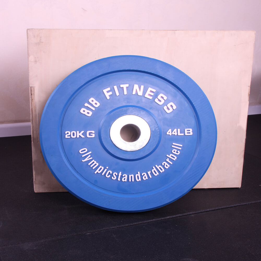 SOL FITENSS WEIGHT PLATE (8)