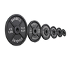 Gym Fitness Olympic Barbell Cast Iron Bumper Weight Plate