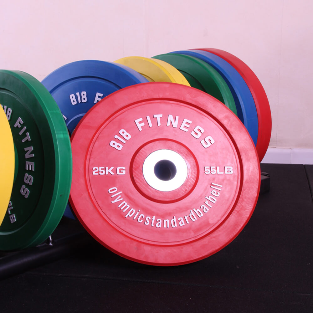 SOL FITENSS WEIGHT PLATE (16)